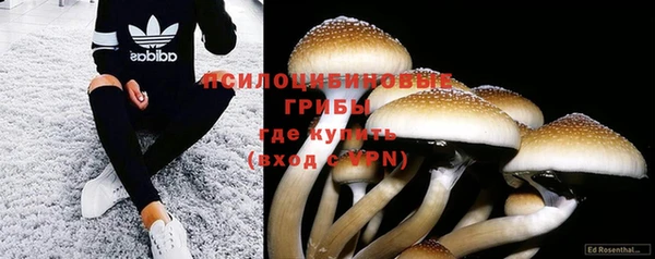 кокаин VHQ Заводоуковск
