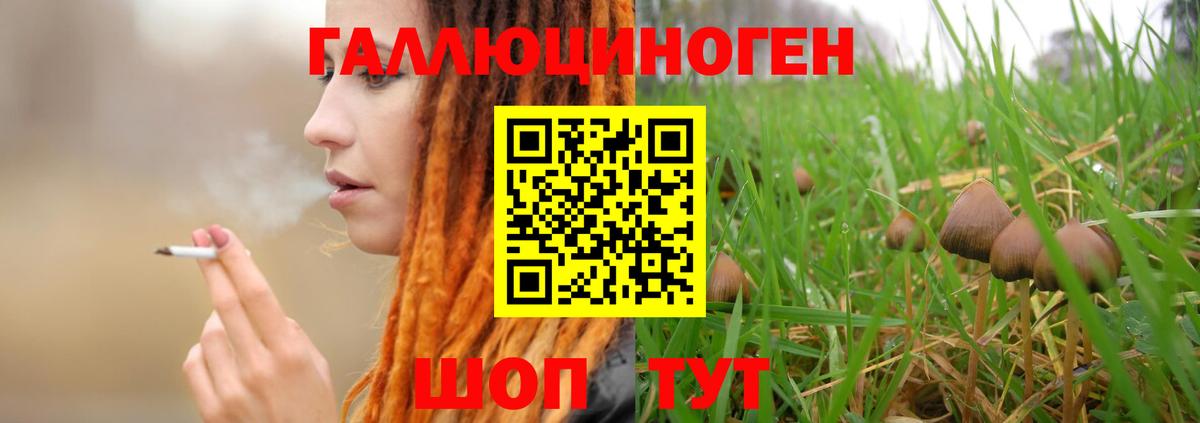 Галлюциногенные грибы Psilocybine cubensis  Вход с VPN  хочу наркоту  Добрянка 